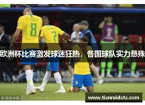 欧洲杯比赛激发球迷狂热，各国球队实力悬殊