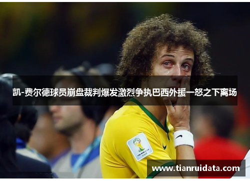 凯-费尔德球员崩盘裁判爆发激烈争执巴西外援一怒之下离场